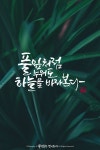 풀잎 캘리그라피 | 손글씨, 하늘, 문장