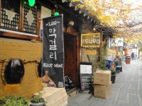 Traditional Korean Food & Makkoli at Gallery Pub in Insadong (포도나무집) – Modern Seoul | Traditional korean food, Pub... 
