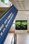 실내 수직정원 나아바 에코 그린스쿨 Indoor Vertical Garden NAAVA eco green school - 2022 | 수직정원, 식물 벽, 건강한