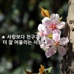 ★ 사랑보다 친구가 더 잘 어울리는 사람 ★ 안 보면 소년처럼 해맑은... 세상이 온 통 흰 눈에 쌓일때 작은 미소를 지★ #좋은글 좋은글귀 어플... 