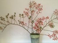 #tablescape #rosebuds #autumn | 꽃