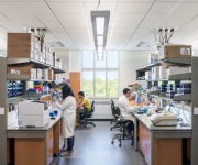 Lab dream에 있는 jos canales님의 핀 | 실험실