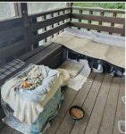 고양이집으로 변한 파주 등산로 쉼터 상태. 고양이집으로 변한 파주 등산로 쉼터 상태. en 2024