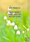 좋은 아침입니다.