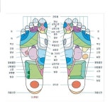 Pin page 건강정보에 있는 명순 김님의 핀 | 의료, 발 건강, 건강