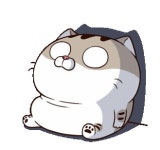 Ghim của 민수 김 trên 동물 그림 | Mèo ú pusheen, Mèo ú, Mèo đẹp