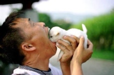 PuppyPuppy에 있는 왜냐하면우리는우리를모르고님의 핀