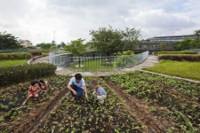 *농업과 교육의 만남- 베트남 유치원 농장[ Vo Trong Nghia Architects ] Farming Kindergarten | 유치원 농장, 그린 루프, 농업