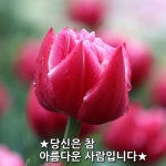 ★당신은 참 아름다운 사람입니다★ 자신이... 참 아름다운 사람입니다. 자신이 흘리고 있는... 참 아름다운 사람입니다. 자신이 조금 더 가진 것을... 