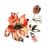 Pin page watercolor flowert에 있는 Rikenrabari님의 핀