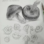 Pin page 메타코드미술학원 | Art teacher Ahn Jaehyun on Instagram: The best way to improve a picture is to observe. Believe... 