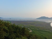 순천만습지에 있는 영근 박님의 핀