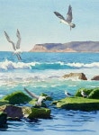 море에 관한 162개의 최상의 Pinterest 이미지 море