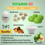 Pin by 자는중 on vitamins | Yogurt benefits, Health, Eggs and sweet potato