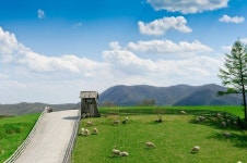 푸른 초원과 맑은 하늘 아래 뛰노는 양들의 낙원, 대관령 양떼목장 | Paisajes, Naturaleza, Corea del sur