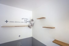 ANIMAL MEDICAL CLINIC 아프지말게 – Melloncoli Fantastic Space Lita | Hospitais