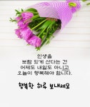 한 줄 카드에 있는 예쁜글공주님 예쁜글공주님님의 핀 - 2020 | 카드