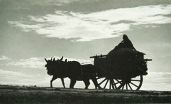 Pin by 천배 김 on 춤 | Painting, Art