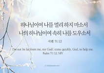 하나님이여 나를 멀리 하지 마소서 나의 하나님이여 속히 나를 도우소서 (시편71편12절)