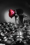 ⊰♥⊱♥⊱Flower& Femme⊰♥⊰ ♥⊰에 관한 107개의 최상의 Pinterest 이미지 | 꽃, 낭만주의 및 얼굴 ⊰♥⊱♥⊱Flower... 