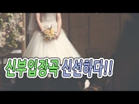 신부님을 위한 신선?입장?처음 들어?좋다~ 프린세스 브라이드 Princess Bride Roy todd | Prom dresses ball gown, Ball gowns, Prom... 