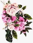 장미 꽃 일러스트, 장미꽃 풀의 총칭, 장미꽃, 꽃 PNG 일러스트 및 PSD 이미지 무료 다운로드 - Pngtree 장미 꽃 일러스트, 장미꽃... 