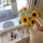 다솜 on Instagram: “🌻 #이스트덜위치 #해바라기 #킨포크 #카페 #대치동카페 #카페인테리어 #여름 #일상 #다솜_오늘의카페” | 인테리어...