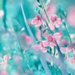 ART에 관한 497개의 최상의 Pinterest 이미지 | 공예, 브리 콜라주 및 유치원 ART