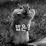 밥은 먹고 다니니?
