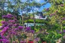 “수국도 보고 고래도 만날 수 있는 이 지역 화제”… 6월 가볼 만한... 추천 “수국도 보고 고래도 만날 수 있는 이 지역 화제”… 6월 가볼... 