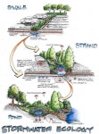 Rock Solid Advice On How To Spruce Up Your Landscaping | 정원 가꾸기, 퍼머컬쳐, 조경