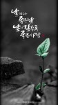 좋은 날