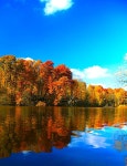 fall에 관한 42개의 최상의 Pinterest 이미지 | Paisajes, 겨울 및 오렌지 fall