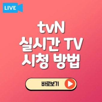tvN 온에어 | 실시간 TV 방송보기 | 채널 번호 편성표 2022 | 읽기, 채널, 월드컵