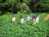 그림에 있는 수안 정님의 핀 | 텃밭, 그림
