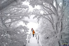 눈의 나라로 변한 사라오름 눈의 나라로 변한 사라오름 | 여행 스크랩북, 여행, 여행지