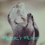 비나이다 비나이다