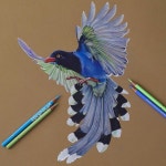 Original colored pencil art | 색연필