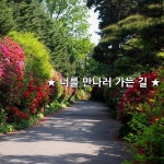 가장 아름다운 것이다 나의 삶의 길은 언제나 너를 만나러 가는... 가장 아름다운 것이다    나의 삶의 길은 언제나 너를 만나러 가는... 