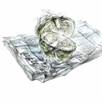 반 자른 양배추와 신문지