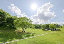 햇빛이 내리쬐는 월명동 잔디밭