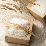 경북영주 우렁이재배 영주쌀 백미 아끼바레 추청쌀 20kg 특등급