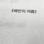 배반의 여름