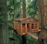 TREE HOUSE | 트리하우스, 자연 친화적 건축, 숲 속 오두막