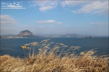 겨울 제주 가볼만한곳 ~ 송악산둘레길 반바퀴!! | 하늘, 겨울, 별