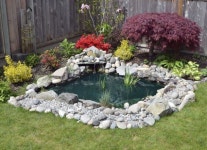 and flower, this is the backyard pond. this is the thing that we all need for backyard place room. if you have… | 작은 정원