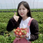 songsun 송선 / tri.be icon