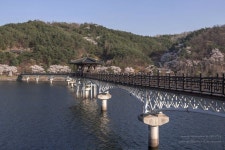 경북 안동 여행 가볼만한곳 월영교 | 여행, 풍경도, 물