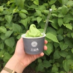먹스타그램(●´ω｀●) on Instagram: “오설록 냠냠🍦 #일상 #데일리 #daily #오설록 #오설록아이스크림 #제주도 #제주도여행 #아이스크림... 