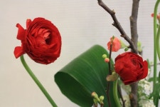 칼라로 시원한 느낌의 분리형꽃꽂이 동양꽃꽂이 - ［펌］꽃꽂이 - 영안의기쁨 | 꽃꽂이